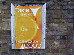 Taste and See Lord is Good (Insights in Psalms)