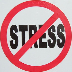 How to Reduce Stress (Insights in Law)