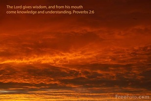 Seek Wisdom Like Your Life Depended Upon It (Insights in Psalms)